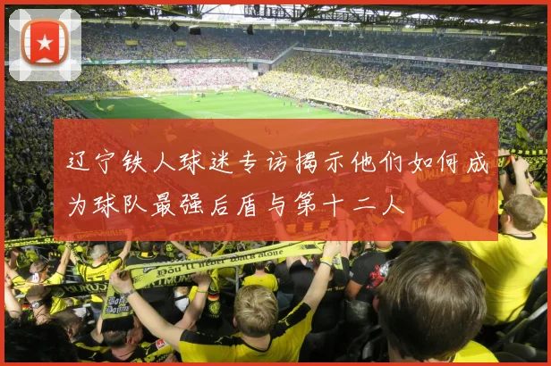 辽宁铁人球迷专访揭示他们如何成为球队最强后盾与第十二人