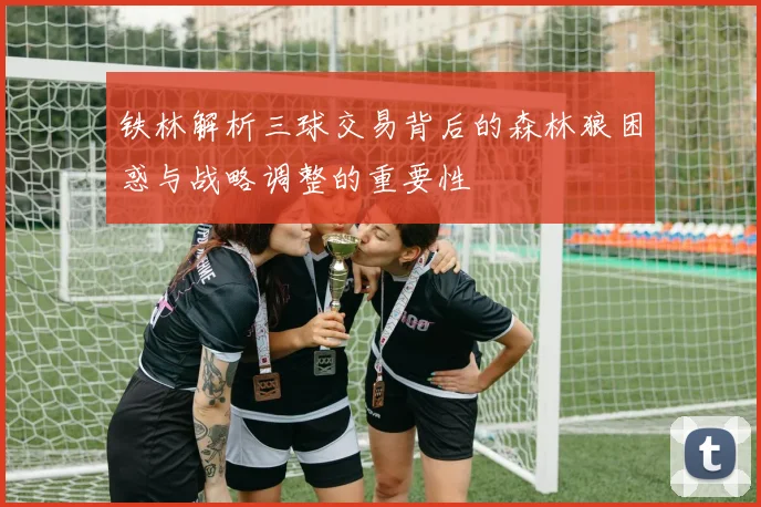 铁林解析三球交易背后的森林狼困惑与战略调整的重要性